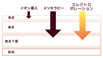 エレクトロポレーションとイオン導入の違い